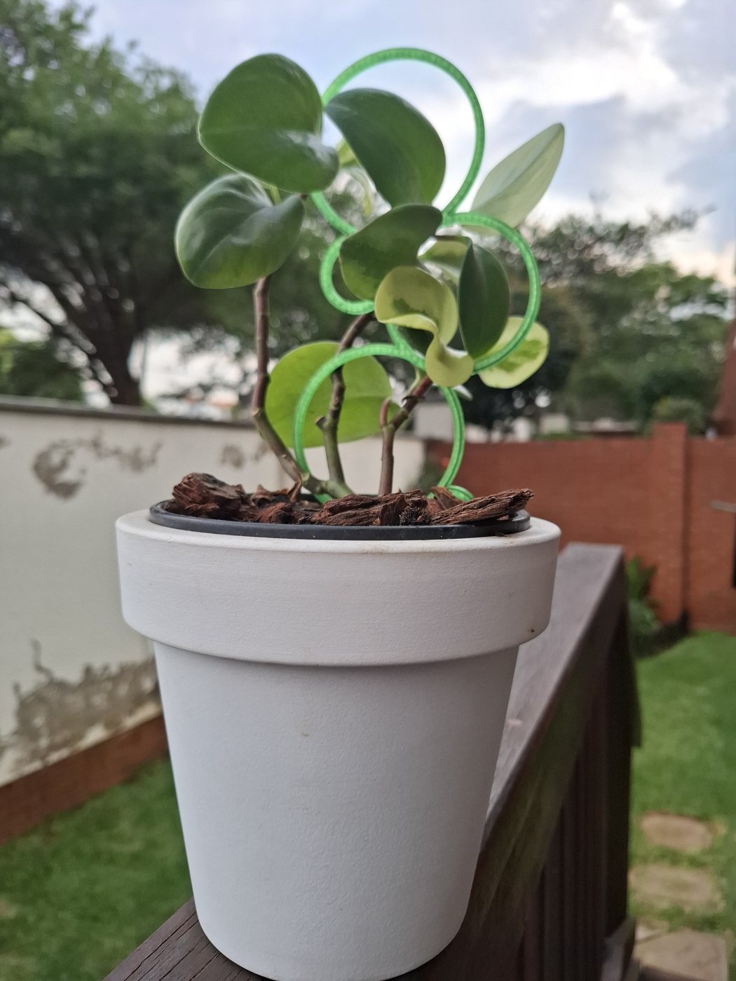 3D printed plant trellis
